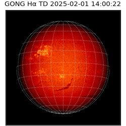 gong - 2025-02-01T14:00:22