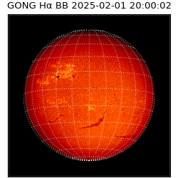 gong - 2025-02-01T20:00:02
