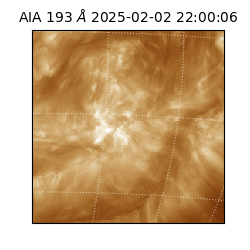 saia - 2025-02-02T22:00:06.920000