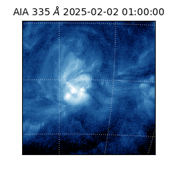 saia - 2025-02-02T01:00:00.618000
