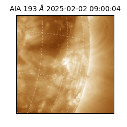 saia - 2025-02-02T09:00:04.843000