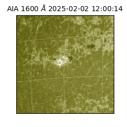 saia - 2025-02-02T12:00:14.126000