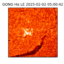gong - 2025-02-02T05:00:42