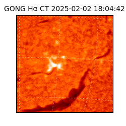 gong - 2025-02-02T18:04:42