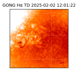 gong - 2025-02-02T12:01:22