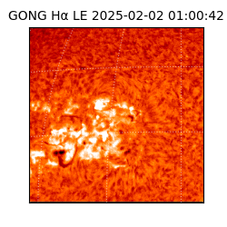 gong - 2025-02-02T01:00:42