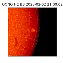 gong - 2025-02-02T21:00:02