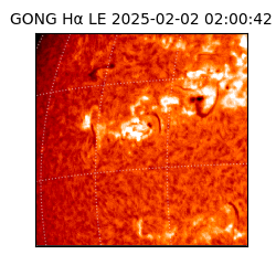 gong - 2025-02-02T02:00:42