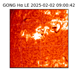gong - 2025-02-02T09:00:42