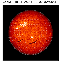 gong - 2025-02-02T02:00:42