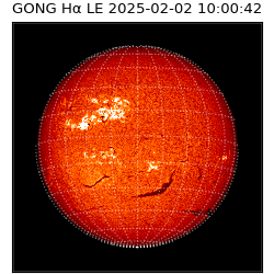gong - 2025-02-02T10:00:42