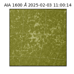 saia - 2025-02-03T11:00:14.122000