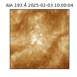saia - 2025-02-03T10:00:04.843000