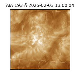saia - 2025-02-03T13:00:04.843000