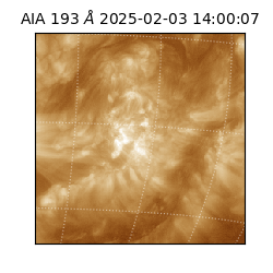 saia - 2025-02-03T14:00:07.045000