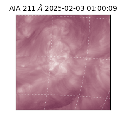 saia - 2025-02-03T01:00:09.630000