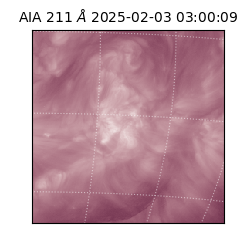 saia - 2025-02-03T03:00:09.626000