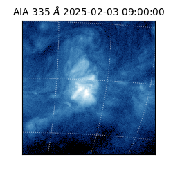 saia - 2025-02-03T09:00:00.632000
