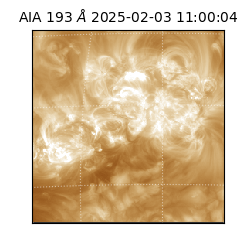 saia - 2025-02-03T11:00:04.835000