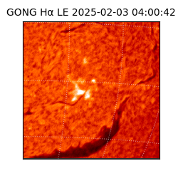 gong - 2025-02-03T04:00:42