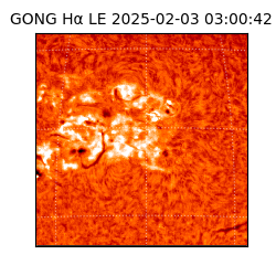 gong - 2025-02-03T03:00:42