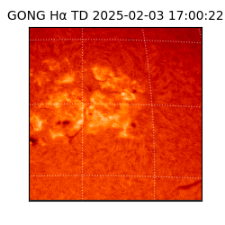gong - 2025-02-03T17:00:22
