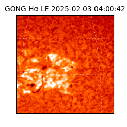 gong - 2025-02-03T04:00:42