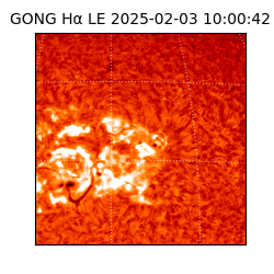 gong - 2025-02-03T10:00:42