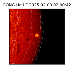 gong - 2025-02-03T02:00:42