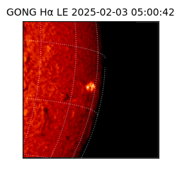 gong - 2025-02-03T05:00:42