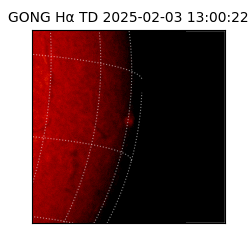 gong - 2025-02-03T13:00:22