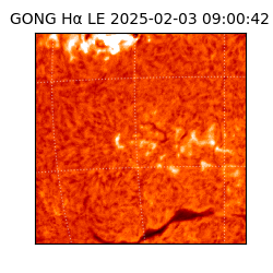 gong - 2025-02-03T09:00:42