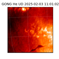 gong - 2025-02-03T11:01:02