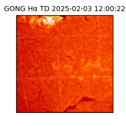 gong - 2025-02-03T12:00:22