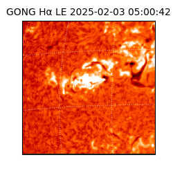 gong - 2025-02-03T05:00:42