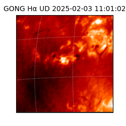gong - 2025-02-03T11:01:02