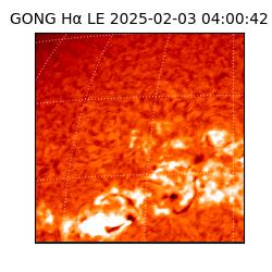 gong - 2025-02-03T04:00:42
