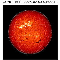 gong - 2025-02-03T04:00:42