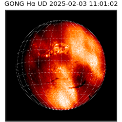 gong - 2025-02-03T11:01:02