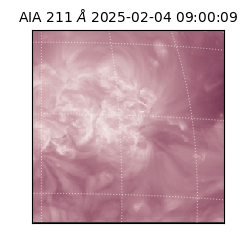 saia - 2025-02-04T09:00:09.633000