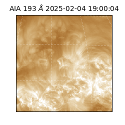 saia - 2025-02-04T19:00:04.843000