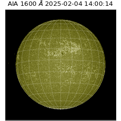 saia - 2025-02-04T14:00:14.126000