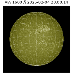 saia - 2025-02-04T20:00:14.129000