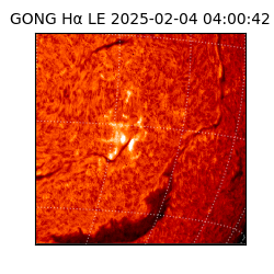 gong - 2025-02-04T04:00:42