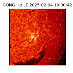 gong - 2025-02-04T10:00:42