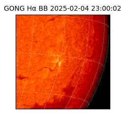 gong - 2025-02-04T23:00:02