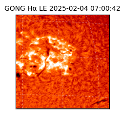 gong - 2025-02-04T07:00:42