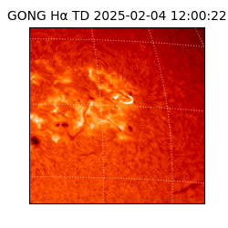 gong - 2025-02-04T12:00:22