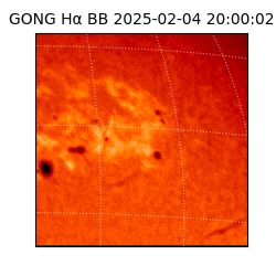 gong - 2025-02-04T20:00:02