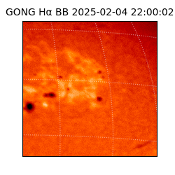 gong - 2025-02-04T22:00:02